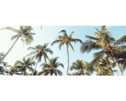 Glasbild Palms On Beach II 50x125 cm GLA2140