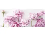 Hornbach Glasbild Peonies I 30x80 cm GLA2152