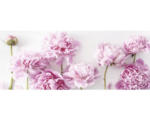 Hornbach Glasbild Peonies I 50x125 cm GLA2152