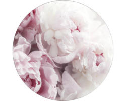 Glasbild rund Peonies II Ø 20 cm GLR014