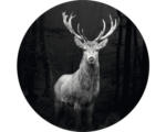 Hornbach Glasbild rund Grey Deer Head Ø 30 cm