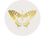 Hornbach Glasbild rund Golden Butterfly Ø 30 cm GLR029