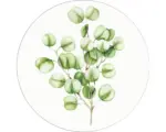 Hornbach Glasbild rund Eucalyptus Branches Ø 20 cm GLR041