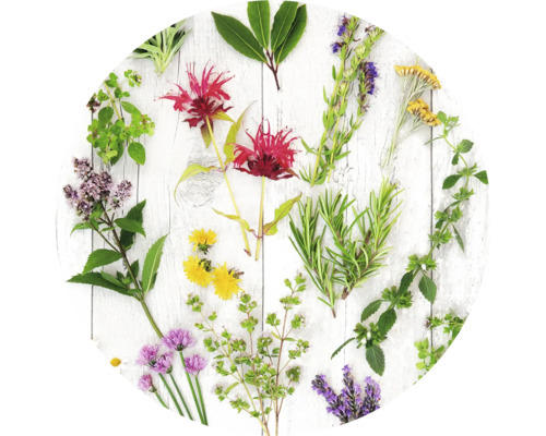 Glasbild rund Herbs & Flowers Ø 30 cm GLR043