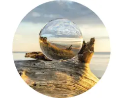 Glasbild rund Drop On Wood Ø 30 cm GLR059