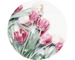 Glasbild rund Tulpen Ø 30 cm GLR063