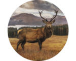 Hornbach Glasbild rund Deer In A Field Ø 30 cm GLR068