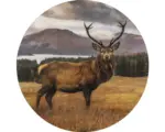 Hornbach Glasbild rund Deer In A Field Ø 30 cm GLR068