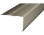 Hornbach Treppenkantenprofil zum Schrauben Aluminium edelstahl-optik matt 25x40x1000 mm