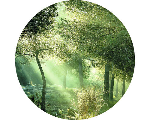 Glasbild rund Forest Harmony Vl Ø 30 cm GLR007