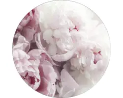 Glasbild rund Peonies II Ø 50 cm GLR014