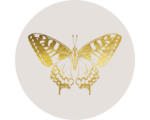 Hornbach Glasbild rund Golden Butterfly Ø 50 cm GLR029