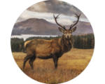 Hornbach Glasbild rund Deer In A Field Ø 50 cm GLR068