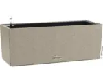 Hornbach Balkonkasten Lechuza Balconera Stone 50 H 19 cm beige inkl. Erdbewässerungssystem