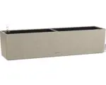 Hornbach Balkonkasten Lechuza Balconera Stone 80 H 19 cm beige