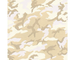 Vliestapete Boys & Girls 6 Carmouflage creme beige
