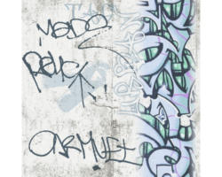 Papiertapete Baoys & Girls 6 Grafiti grau grün blau