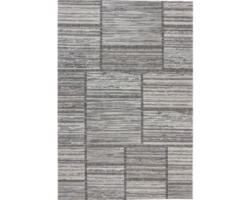 Teppich Phoenix 112 natur grau 120x170 cm