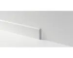 Hornbach Endstücke Alu optik Typ 2 für SL 3/5/6/18 2 Stück