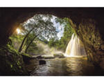 Hornbach Poster Cave View 61x91,5 cm