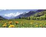 Hornbach Glasbild Mountain Idyll ll 50x125 cm