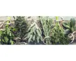 Hornbach Glasbild Cook me lll 30x80 cm