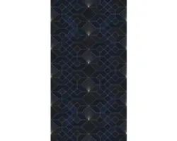 Fototapete Vlies HX3-009 Coquilles Nuit 3-tlg. 150x280 cm