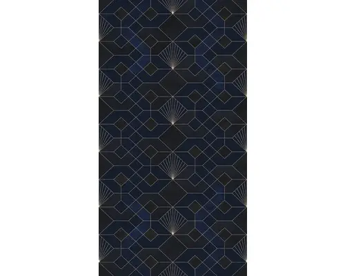 Fototapete Vlies HX3-009 Coquilles Nuit 3-tlg. 150x280 cm