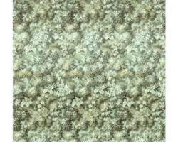 Fototapete Vlies HX6-003 Botanique Vert 6-tlg. 300 x 280 cm