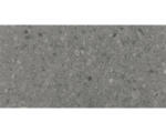Hornbach Feinsteinzeug Bodenfliese Donau 60,0x120,0 cm grau matt rektifiziert