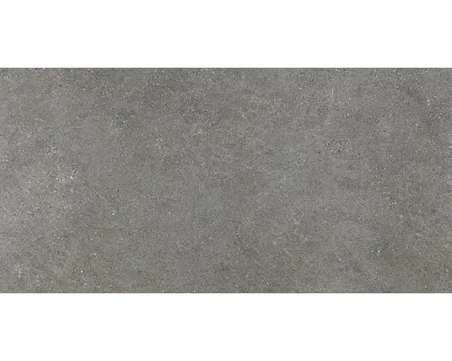 Feinsteinzeug Bodenfliese Alpen 60,0x120,0 cm grau matt rektifiziert