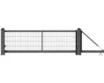 Hornbach Schiebetor GAH Alberts Lektor DSM 6/5/6 inkl. Handsender 679x140 cm anthrazit