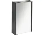 Hornbach LED-Spiegelschrank Fackelmann Denver Hype 3.0 1-türig 42x68,5 cm anthrazit