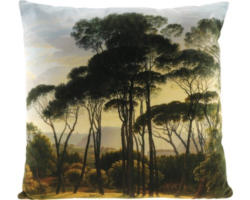 Kissen Exotic natur 45x45 cm