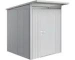 Hornbach Gartenhaus Biohort Avantgarde inkl. Dachrinne Oberlicht Regale Set Lüftung 174 x 174 cm silber-metallic