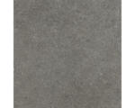 Hornbach Feinsteinzeug Terrassenplatte Alpen grau glasiert matt 60x60x2 cm rektifiziert