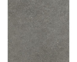 Feinsteinzeug Terrassenplatte Alpen grau glasiert matt 60x60x2 cm rektifiziert