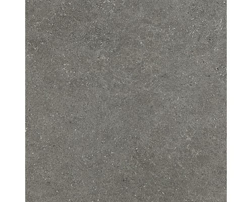 Feinsteinzeug Terrassenplatte Alpen grau glasiert matt 60x60x2 cm rektifiziert