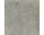 Hornbach Feinsteinzeug Bodenfliese Candy 59,8x59,8 cm hellgrau matt rektifiziert