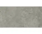 Hornbach Feinsteinzeug Bodenfliese Candy 29,8x59,8 cm hellgrau matt light rektifiziert