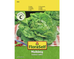 Salatsamen FloraSelf 'Maikönig'
