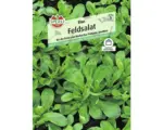 Hornbach Feldsalat 'Elan' Gemüsesamen