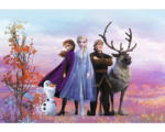 Hornbach Fototapete Papier SD4103 Disney Edition 4 Disney Frozen Iconic 8-tlg. 368 x 254 cm
