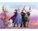 Hornbach Fototapete Papier SD4103 Disney Edition 4 Disney Frozen Iconic 8-tlg. 368 x 254 cm