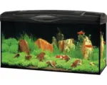 Hornbach Aquarium Marina Complete 54 inkl. LED-Beleuchtung, Filter, Heizer, Futter schwarz