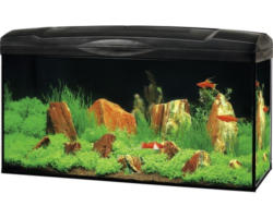 Aquarium Marina Complete 54 inkl. LED-Beleuchtung, Filter, Heizer, Futter schwarz