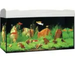 Hornbach Aquarium Marina Complete 54 inkl. LED-Beleuchtung, Filter, Heizer, Futter weiß