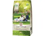 Hornbach Rasensamen Sperli Schattenrasen 1 kg / 35 m²