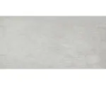 Hornbach Feinsteinzeug Bodenfliese New Wood 62,0x31,0 cm grau matt