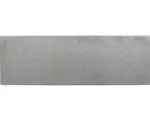 Hornbach FLAIRSTONE Poolumrandung Phönix grau gerade 1 Längsseite gerundet 115 x 35 x 3 cm